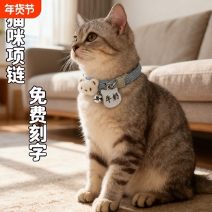 宠物项链猫牌狗牌小型犬防丢牌挂牌狗狗铭牌刻字猫咪项圈名字制定