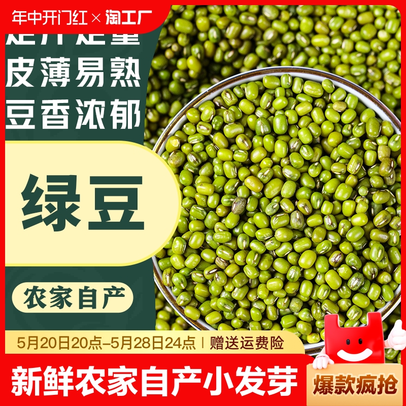 新鲜绿豆农家自产小绿豆新货可发芽粮油绿豆汤粥原材料五谷杂粮