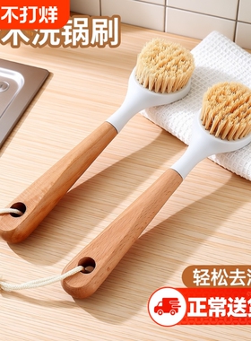 天然剑麻锅刷家用长柄洗锅洗碗刷子厨房专用清洁刷神器椰棕水槽