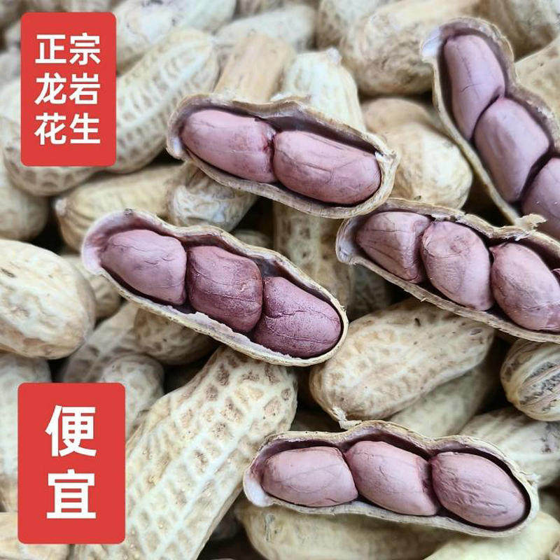 福建龙岩红衣花生湿烤四粒红带壳熟花生 五香咸酥脆特产炒货零食