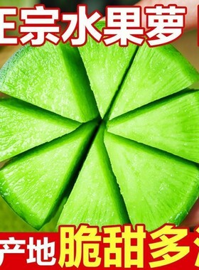 正宗潍县萝卜水果萝卜甜脆清脆爽口季四季青皮绿萝卜沙窝新鲜