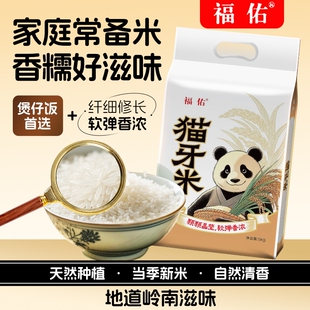 福佑 猫牙米长粒香米 大米5KG*1袋岭南油粘米煲仔饭米单品包邮