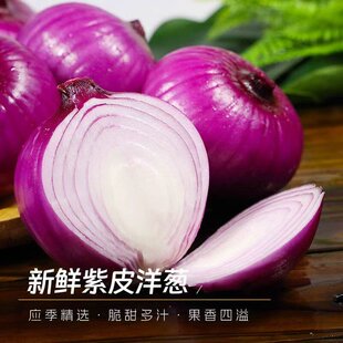 水果洋葱甜味生吃新鲜紫皮洋葱洋葱头小圆葱毛葱红洋葱大洋葱
