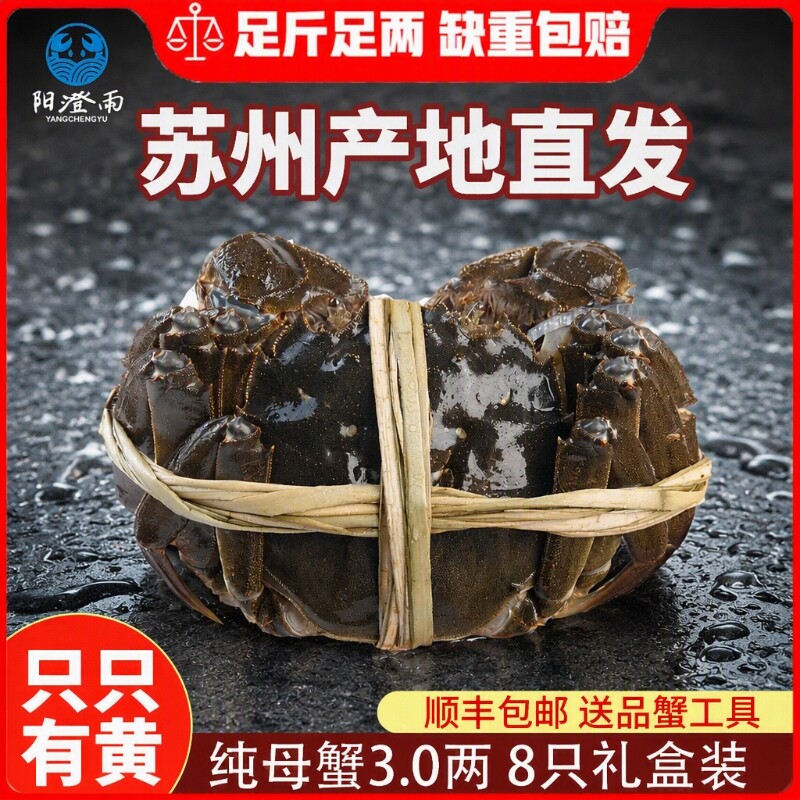 苏州大闸蟹海鲜产地母蟹鲜活螃蟹公4全母3两8只高端礼盒装顺丰图片