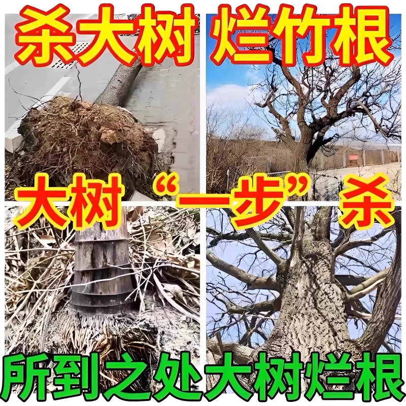 烂根除大树专用强力枯树王腐树根药大树一滴死除大树竹子烂根剂S