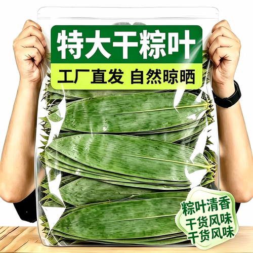粽子叶干新鲜包粽子专用的大号野生竹箬端午老式批发旗舰店鲜粽叶