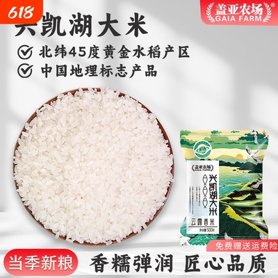 盖亚农场 兴凯湖大米云露香米1斤装东北黑龙江圆粒硬米煮米粥