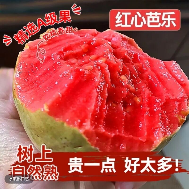 红心芭乐果土软番石榴软糯新鲜当季孕妇水果冰淇淋自提好吃告白