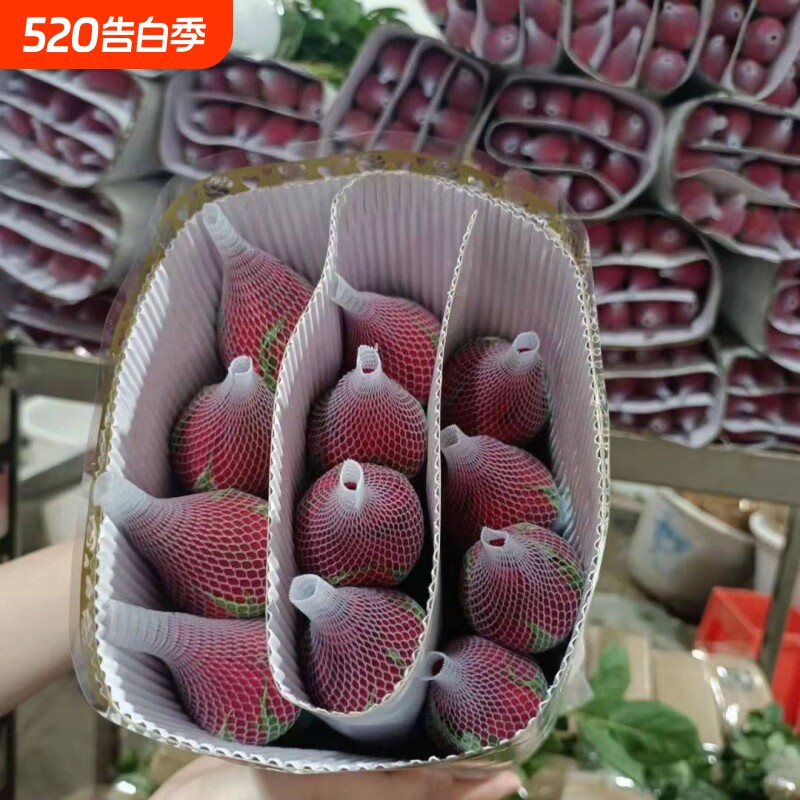 真花玫瑰花云南昆明基地鲜花直批发家用水养插花花束速递包邮客厅