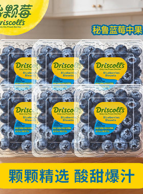 怡颗莓秘鲁当季限量版蓝莓新鲜水果多汁中果125g/盒可食用大果