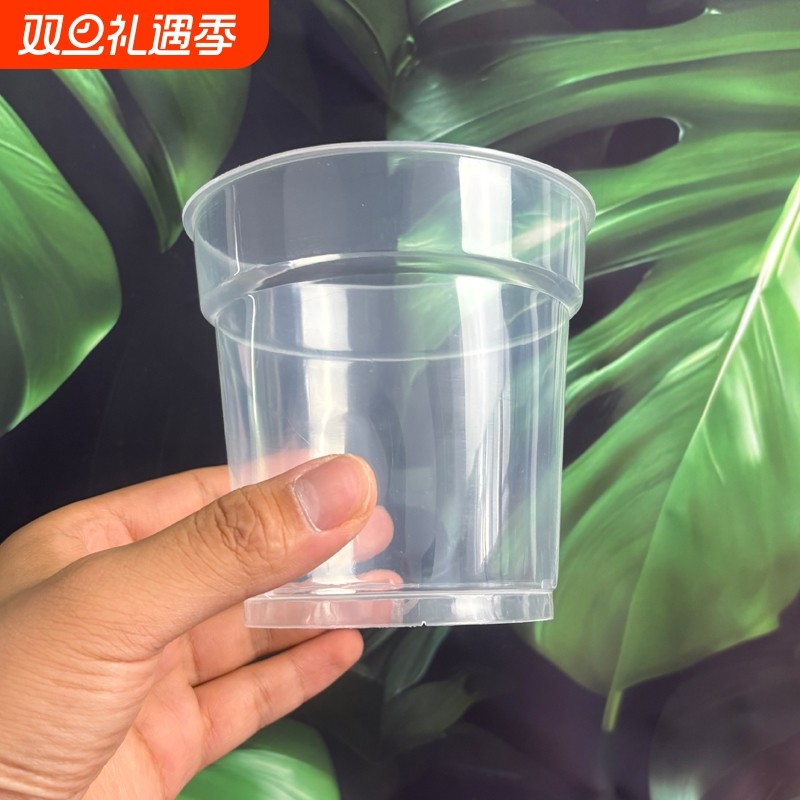 蝴蝶兰花专用石斛透明硬杯营养杯控根盆换盆烂根透气疏水育苗阳台
