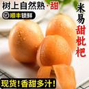 四川米易枇杷新鲜水果大果琵琶果孕妇水果送枇杷叶 包邮 顺丰