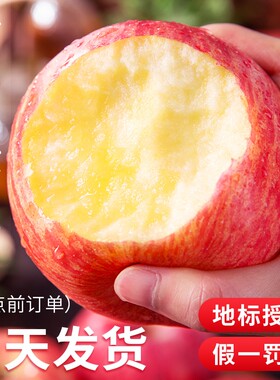 【烟台苹果】产地授权当天发货