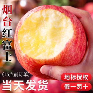 烟台红富士苹果10应当季斤新鲜水果山东栖霞冰糖心丑平果年货节