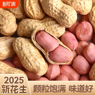 生花生2025年新货晒干带壳新鲜花生果原味白沙带皮高产薄壳种籽子