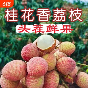 海南荔枝桂花香新鲜水果当季孕妇水果现摘整箱礼盒装大果鲜果原产