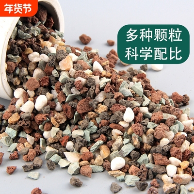 多肉全颗粒土专用营养土铺面石颗粒彩虹石火山石麦饭石多肉颗粒土