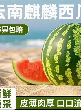 正宗特级新疆吐鲁番火州小西瓜当季新鲜现摘手剥小糖丸