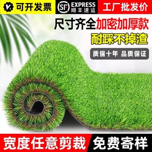 仿真草坪地毯假草皮绿色雨棚隔热人工装饰铺垫幼儿园人造地垫户外