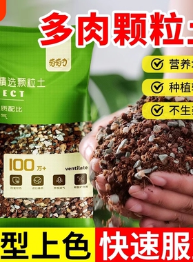 多肉专用颗粒土多肉植物营养土盆栽铺面石叶插纯颗粒种植土壤基质