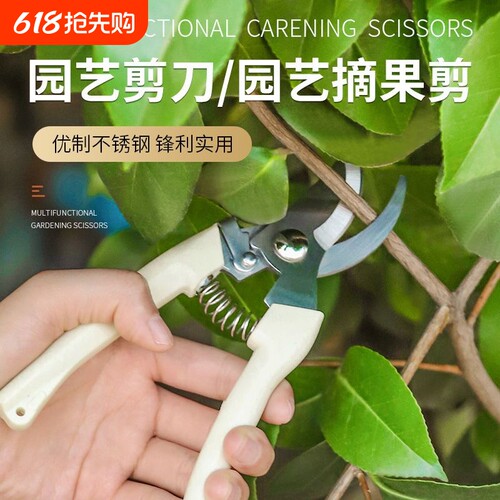 剪枝果树修枝剪刀园艺园林修花枝剪家用强力剪子神器花剪剪枝剪刀