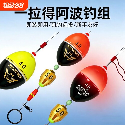 阿波一拉得浮漂套装矶钓电子夜光