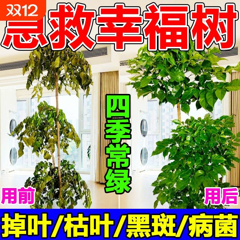 幸福树专用营养液肥料急救治落叶干枯掉叶子防黄叶黑斑绿植通用