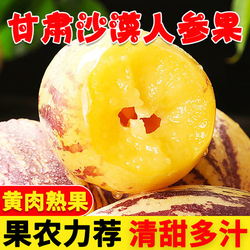 甘肃民勤人参果精选当季