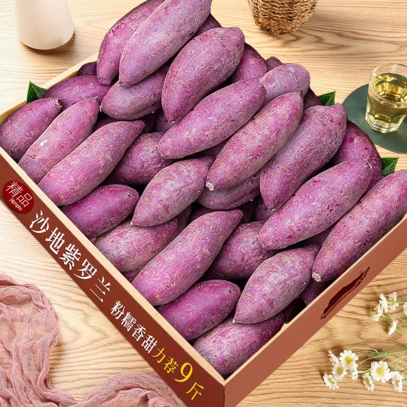 正宗紫薯中果沙地紫罗兰紫薯番薯地瓜当季蔬菜农家自种新鲜现挖