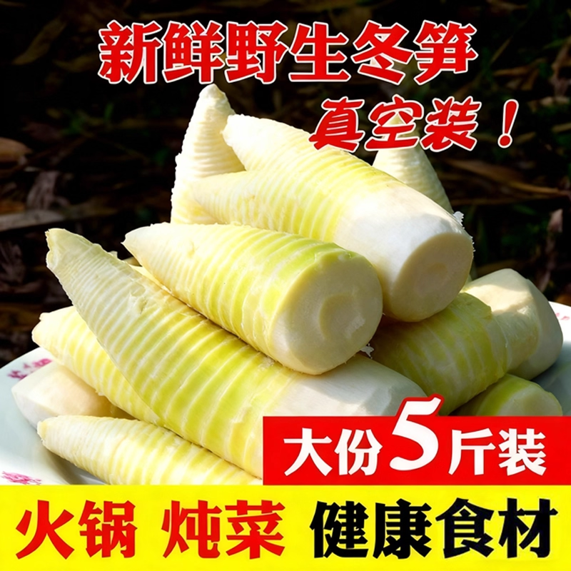 江西源产地冬笋新鲜笋尖多规格时令蔬菜火锅商用批发5斤装