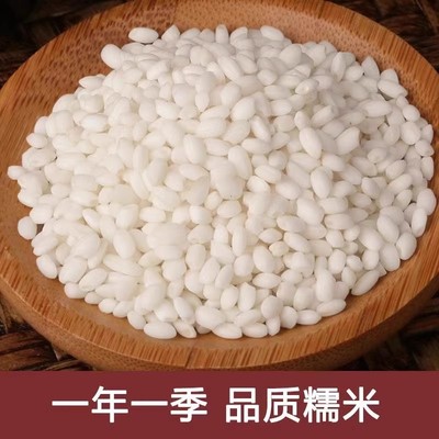 圆糯米粘大米五谷白江米黏米包粽子珍珠糙米籼米糯米饭粽子糯软糯