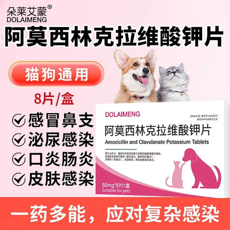 猫咪宠物狗狗打喷嚏感冒咳嗽阿莫西林克拉维酸钾速诺消炎片猫鼻支