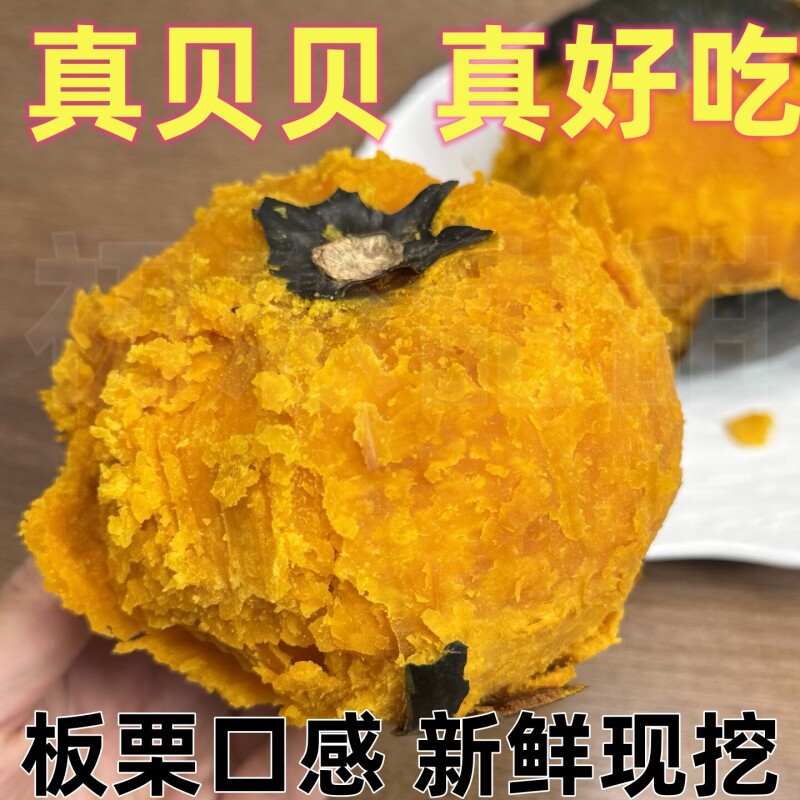新鲜现挖5斤贝贝南瓜板栗味糯香甜栗子婴儿辅食粗粮板栗小南瓜