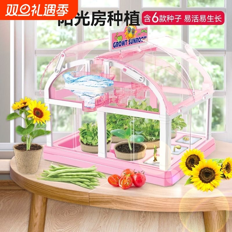 儿童阳光房种植花房种菜植物观察盒小学生玩具科学小实验套装生长