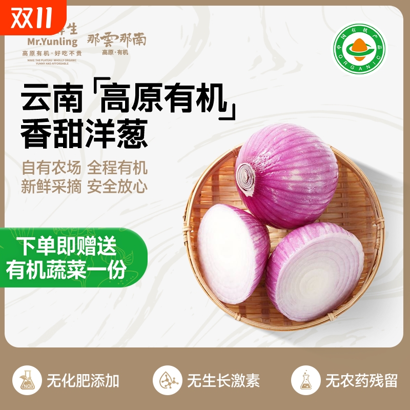 云南高原有机紫洋葱新鲜紫红皮圆葱葱头生吃凉拌炒菜健康无农残