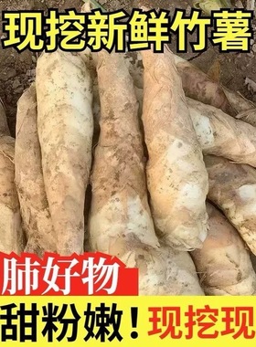 新鲜竹薯农家现挖无渣竹芋5斤当季冬粉薯凉粉薯根茎薯煲汤炒菜