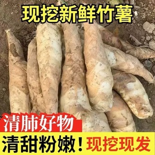 新鲜竹薯农家现挖无渣竹芋5斤当季冬粉薯凉粉薯根茎薯煲汤炒菜