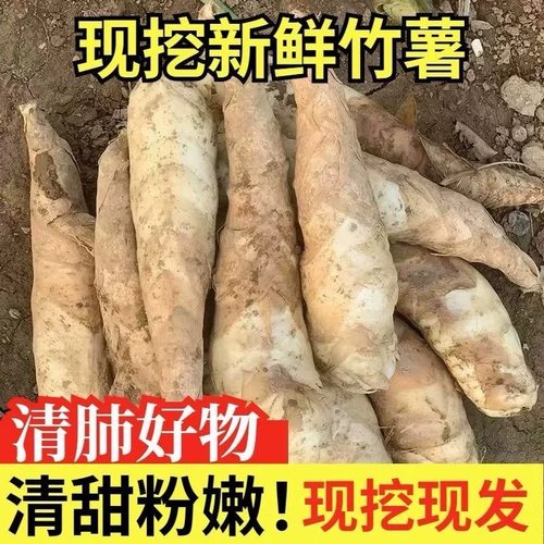 新鲜竹薯农家现挖无渣竹芋5斤当季冬粉薯凉粉薯根茎薯煲汤炒菜