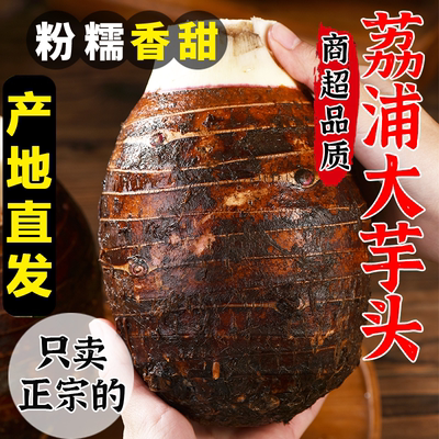 广西荔浦芋头新鲜现挖香甜软糯