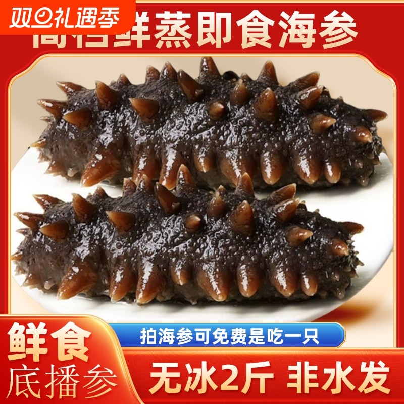 鲜蒸海参即食大连辽参刺参鲜活特价装非干货水产冷冻滋补顺丰包邮