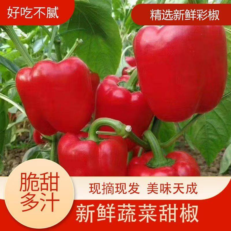 新鲜水果彩椒生吃灯笼甜椒寿光蔬菜圆椒红黄五彩椒脆甜不辣当季,水产肉类/新鲜蔬果/熟食,辣椒,淘宝优惠券,粉丝福利购,淘宝优惠卷