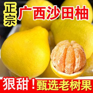 广西正宗沙田柚纯甜柚子老树好吃水果柚子应季当季正新鲜批发市场