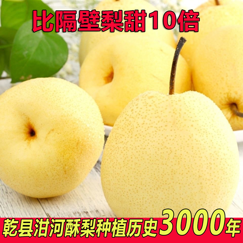 陕西乾县泔河酥梨新鲜梨子脆甜酥香梨皮薄汁水充足应当季酥梨贡梨