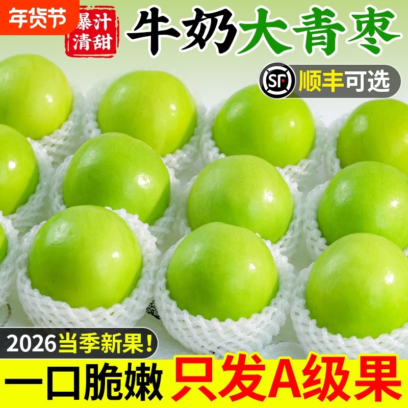 云南牛奶大青枣新鲜现摘5斤水果当季脆甜苹果枣蜜枣贵妃冬枣整箱,水产肉类/新鲜蔬果/熟食,枣,淘宝优惠券,粉丝福利购,淘宝优惠卷