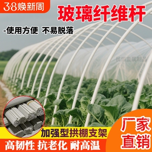 大棚支架拱杆玻璃纤维杆拱棚支架棚架花架秧苗玻璃钢菜地拱形暖棚