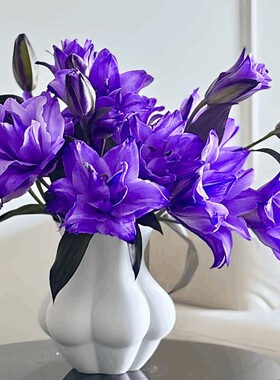 新鲜花紫霞仙子重瓣百合花家庭香水云南昆明基地直发插花水培客厅