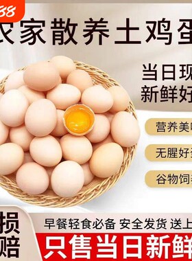 林间正宗散养五谷喂养新鲜土鸡蛋农家慢养谷物蛋柴鸡蛋笨鸡蛋40g