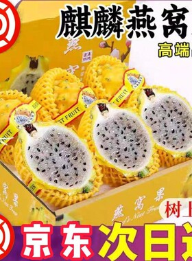 海南特产麒麟燕窝果彩箱正宗海南大果罕见黄皮火龙果礼盒装新鲜