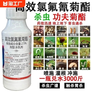 高效氯氰氟菊酯菊脂植物蔬菜果树菜青虫蚜虫专用药农药杀虫剂大全