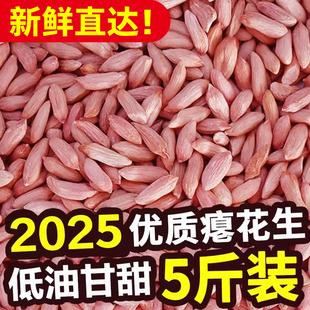 2025山东瘪花生今年新货花生米小粒花生仁甘甜零食批发瘪子花生w